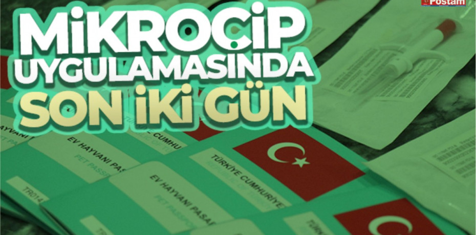 MİKROÇİP UYGULAMASINDA SON İKİ GÜN