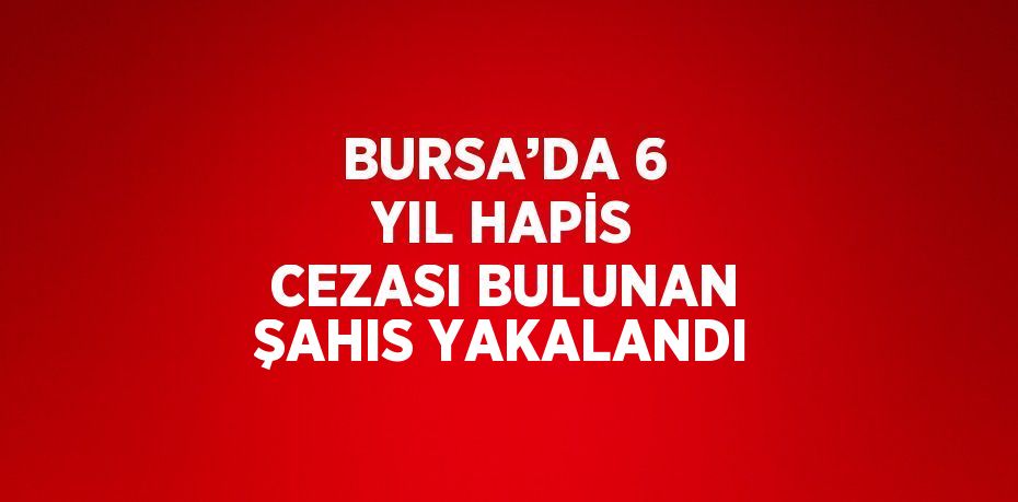 BURSA’DA 6 YIL HAPİS CEZASI BULUNAN ŞAHIS YAKALANDI