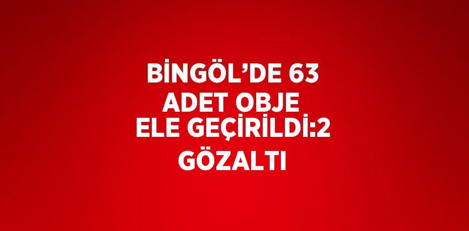 BİNGÖL’DE 63 ADET OBJE ELE GEÇİRİLDİ:2 GÖZALTI