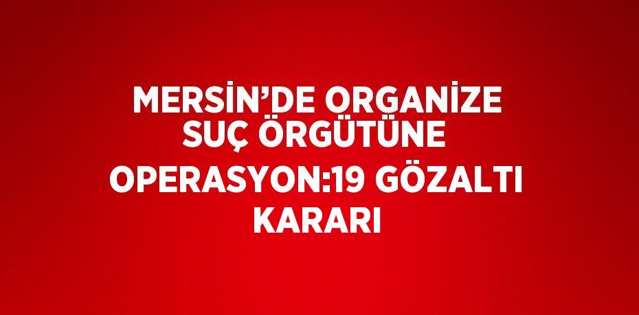 MERSİN’DE ORGANİZE SUÇ ÖRGÜTÜNE OPERASYON:19 GÖZALTI KARARI