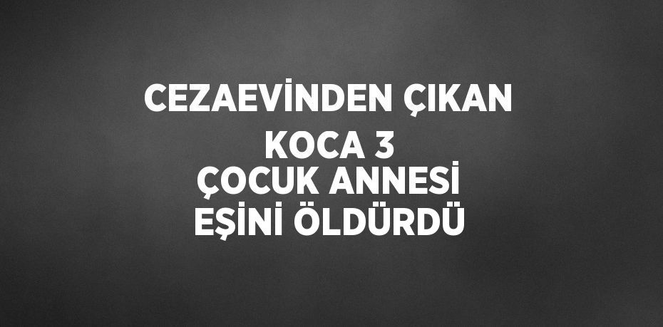 CEZAEVİNDEN ÇIKAN KOCA 3 ÇOCUK ANNESİ EŞİNİ ÖLDÜRDÜ