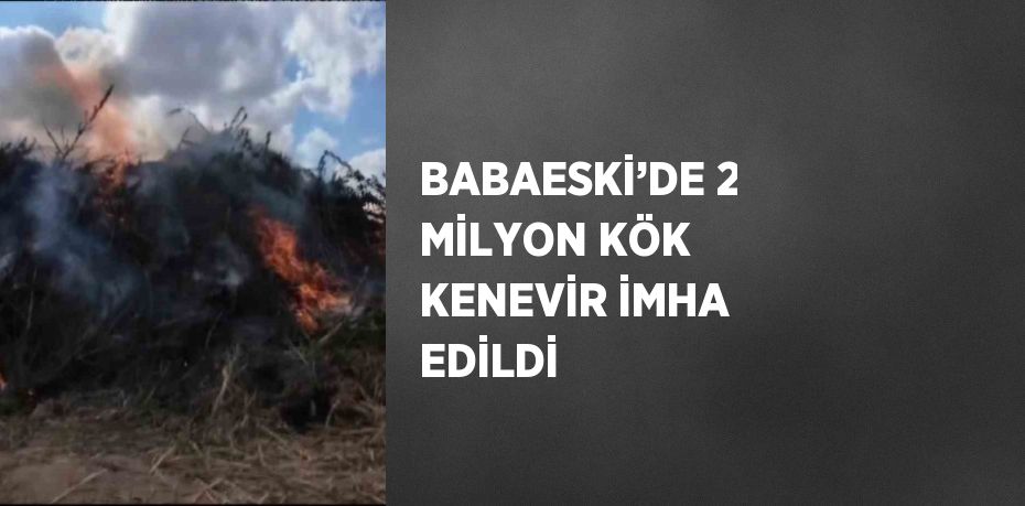 BABAESKİ’DE 2 MİLYON KÖK KENEVİR İMHA EDİLDİ