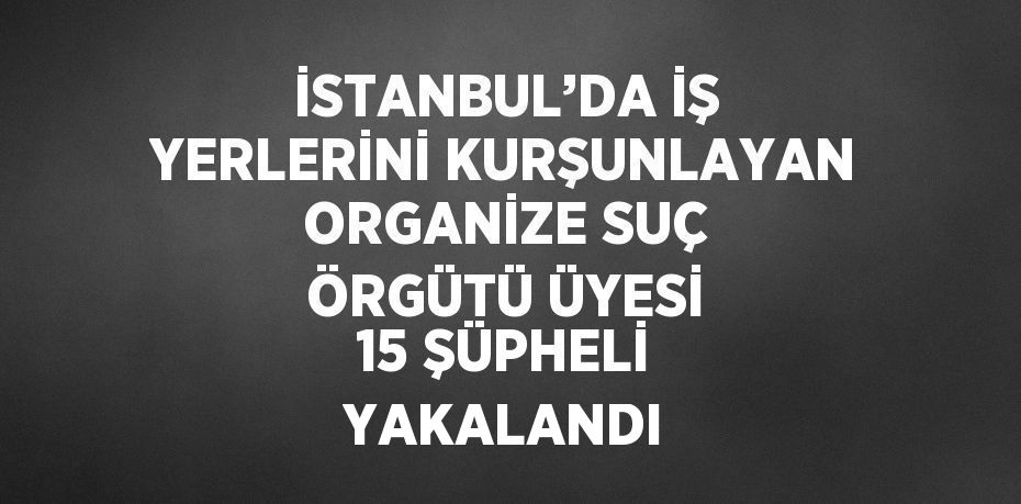 İSTANBUL’DA İŞ YERLERİNİ KURŞUNLAYAN ORGANİZE SUÇ ÖRGÜTÜ ÜYESİ 15 ŞÜPHELİ YAKALANDI