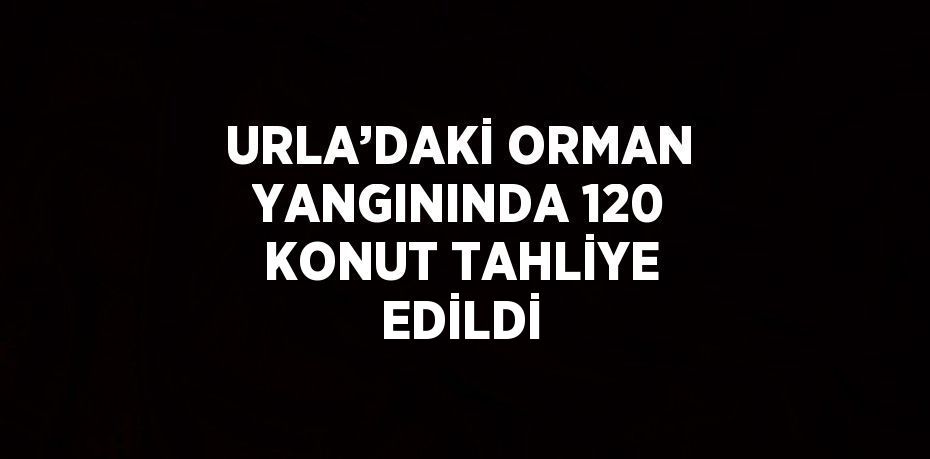 URLA’DAKİ ORMAN YANGININDA 120 KONUT TAHLİYE EDİLDİ