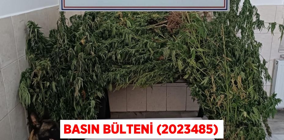 Basın Bülteni (2023485)