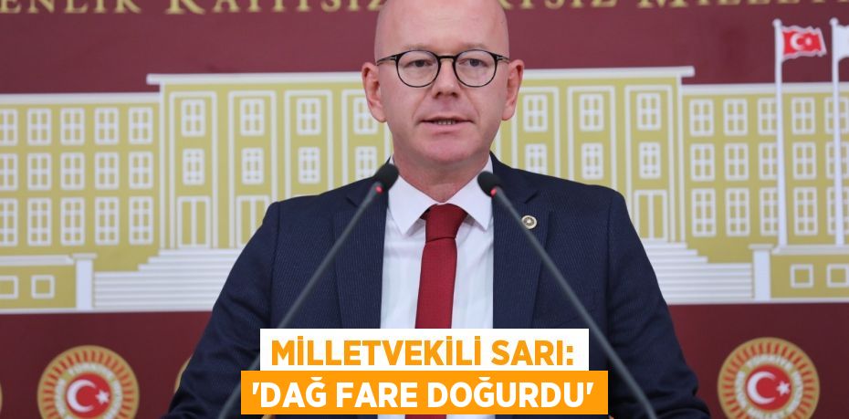 MİLLETVEKİLİ SARI: “DAĞ FARE DOĞURDU”