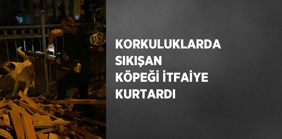 KORKULUKLARDA SIKIŞAN KÖPEĞİ İTFAİYE KURTARDI