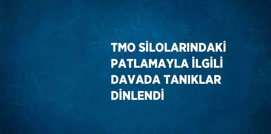 TMO SİLOLARINDAKİ PATLAMAYLA İLGİLİ DAVADA TANIKLAR DİNLENDİ