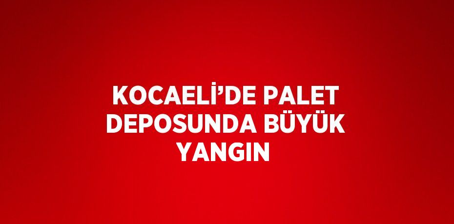 KOCAELİ’DE PALET DEPOSUNDA BÜYÜK YANGIN