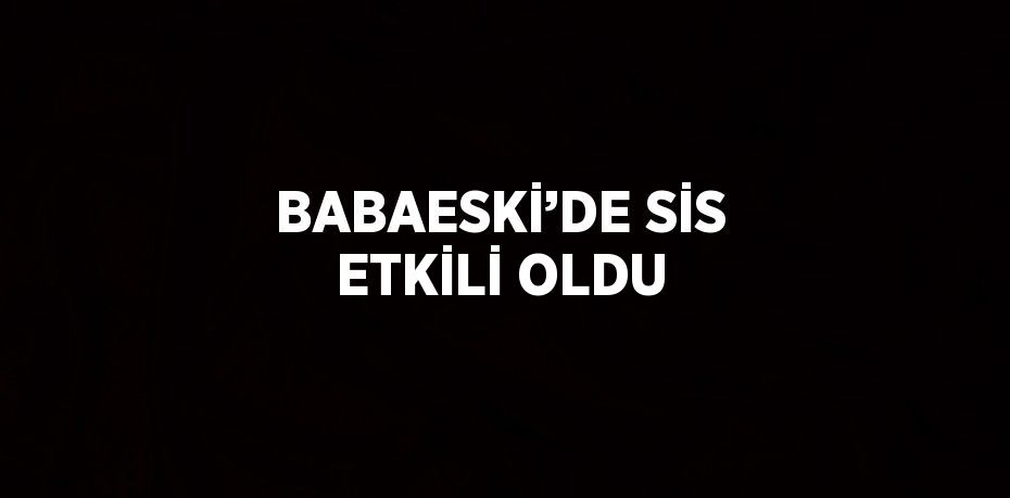 BABAESKİ’DE SİS ETKİLİ OLDU