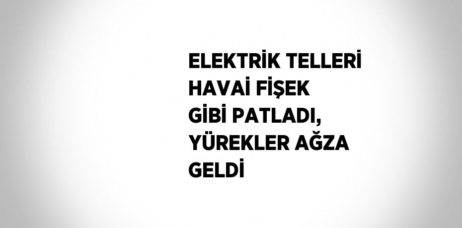 ELEKTRİK TELLERİ HAVAİ FİŞEK GİBİ PATLADI, YÜREKLER AĞZA GELDİ