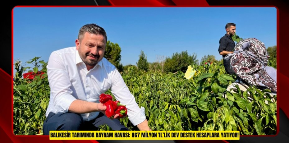 BALIKESİR TARIMINDA BAYRAM HAVASI: 867 MİLYON TL’LİK DEV DESTEK HESAPLARA YATIYOR!