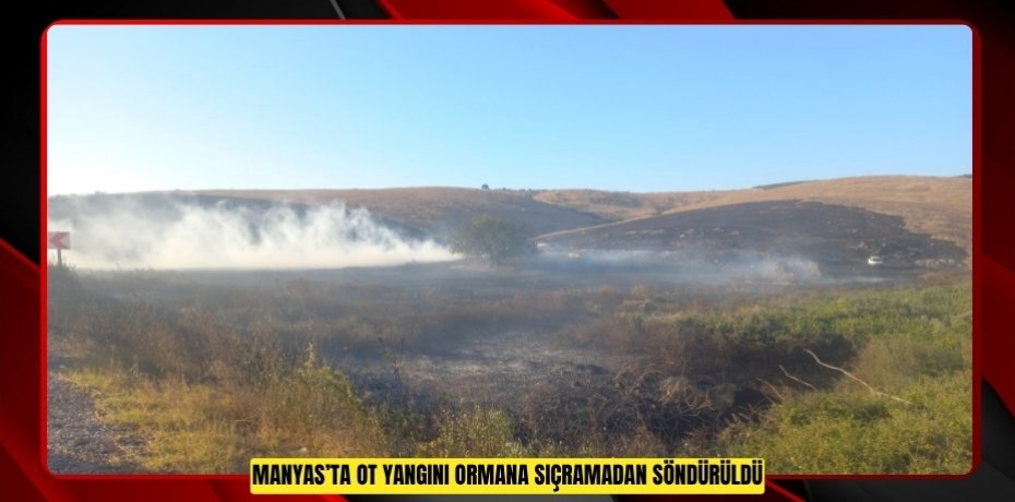 Manyas’ta ot yangını ormana sıçramadan söndürüldü