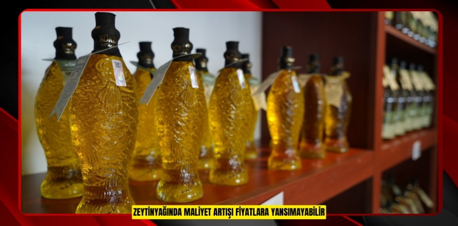 Zeytinyağında maliyet artışı fiyatlara yansımayabilir