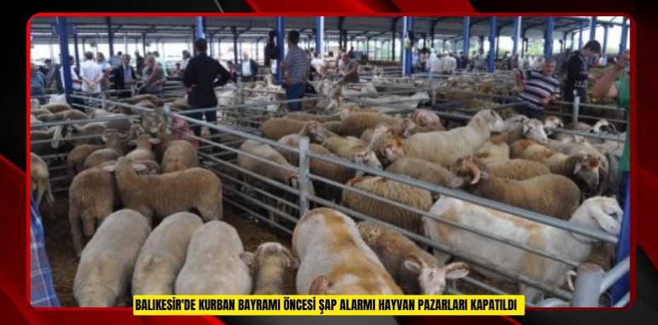 Balıkesir'de Kurban Bayramı öncesi şap alarmı: Hayvan pazarları kapatıldı