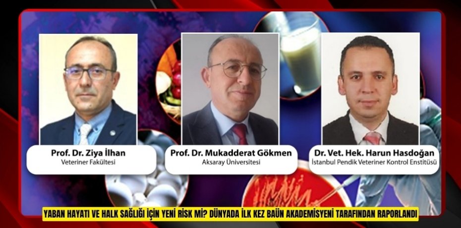 YABAN HAYATI VE HALK SAĞLIĞI İÇİN YENİ RİSK Mİ? DÜNYADA İLK KEZ BAÜN AKADEMİSYENİ TARAFINDAN RAPORLANDI