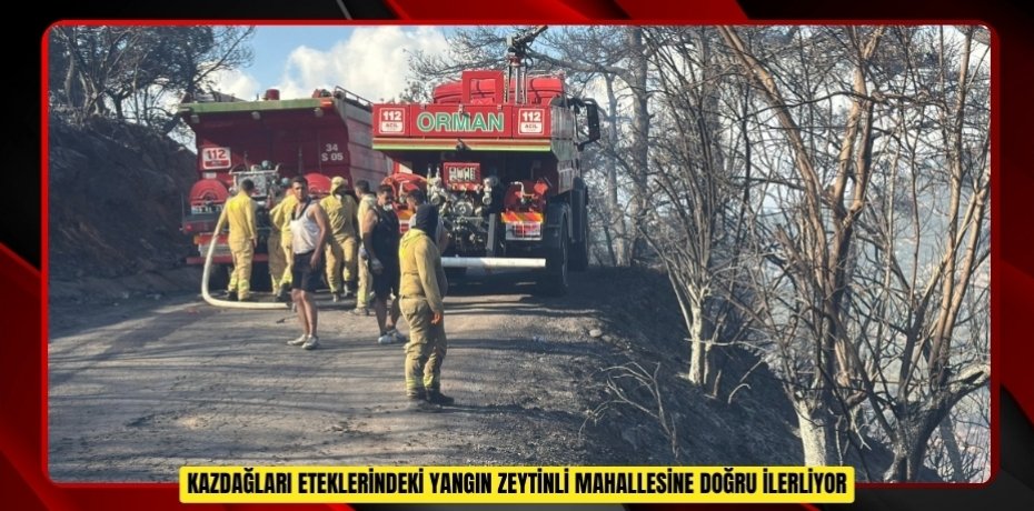 Edremit Kazdağları ve Dursunbey'deki yangınlar kontrol altına alındı