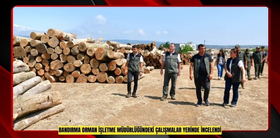 Bandırma Orman İşletme Müdürlüğündeki çalışmalar yerinde incelendi
