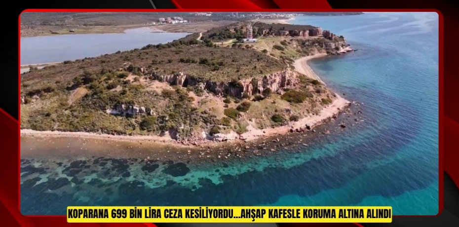 Koparana 699 bin lira ceza kesiliyordu...Ahşap kafesle koruma altına alındı
