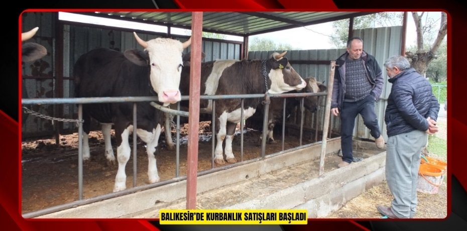 Balıkesir’de kurbanlık satışları başladı
